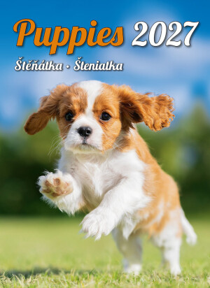 Calendar Puppies - Reklamnepredmety