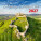 Beauty Calendar Slovakia