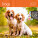 Calendar Dogs - LP02-27_013 - variant He LP02-27