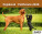 Calendar Puppies - SM13-26_002 - variant He SM13-26