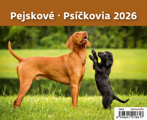 Calendar Puppies - Reklamnepredmety