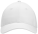 True Blanks | 6 Panel Cotton Twill Cap - screenshot-2024-08-051-a - variant