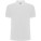 Men's short-sleeved polo shirt Pegaso Premium - R66091Z - variant PF R66091Z1