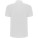 Men's short-sleeved polo shirt Pegaso Premium - R66091Z_B1 - variant PF R66091Z5