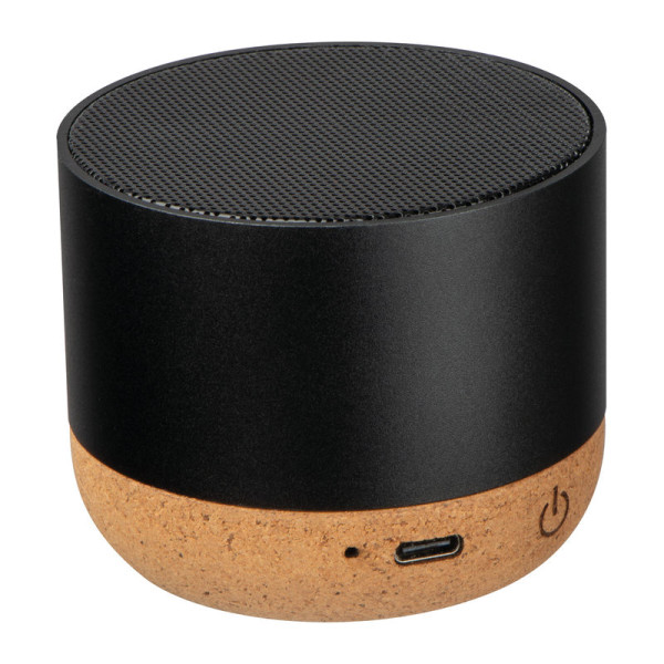 Recycled Brest Speaker