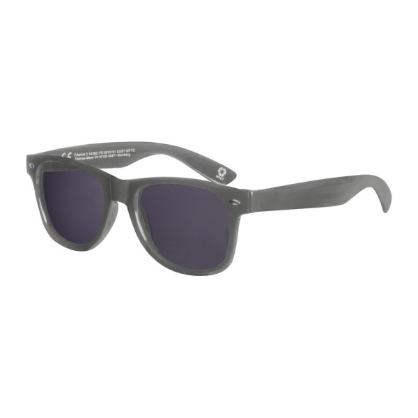 RPET Sunglasses Illinois