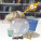 Jurassic Pets Kit II. The educational game for children comes with a kraft paper gift bag (115gsm) - 35829-160-d - variant 