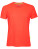 CN160 Evolution Tech Tee - 1632332 - variant
