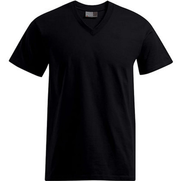 E3025 Premium V-Neck-T