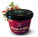 Strawberry jam with chili - s045012 - variant