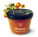 Apricot jam - s045014 - variant