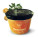 Orange jam - s045015 - variant