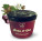 Plum jam with poppy seeds - s045016 - variant