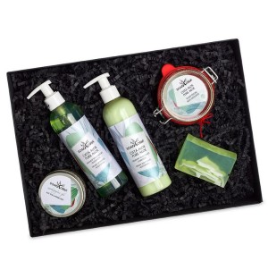 Gift box Pure aloe - Reklamnepredmety