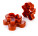 Double-sided cookie cutters DELÍCIA - s041009-1 - variant