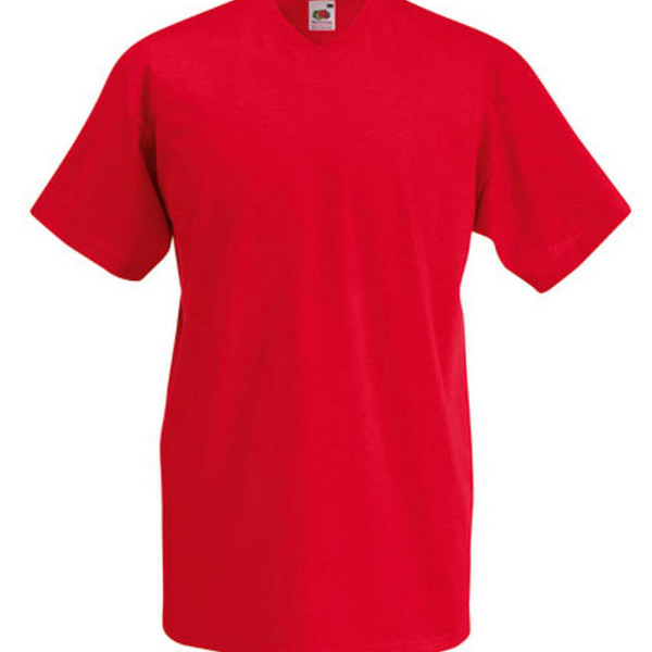 F270 Valueweight V-Neck T