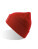 Wind-S Beanie with Patch