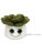 Schmoozies® Evergreenies® Succulent - mbw160849-multicolour - variant 