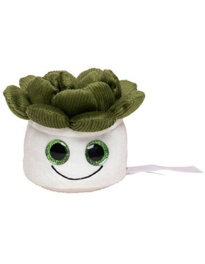 Schmoozies® Evergreenies® Succulent - Reklamnepredmety