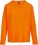 Ladies' T-Shirt longsleeve Monarch Women - ps-254443-sol-s-monarch-women-orange-front-web - variant
