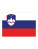 Flags - various countries, 900 x 1500 mm - FLAGSI_Slovenia - variant Ls 1000063525