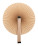 Lolli fan - AP808293-00 - variant Ap 808293-00