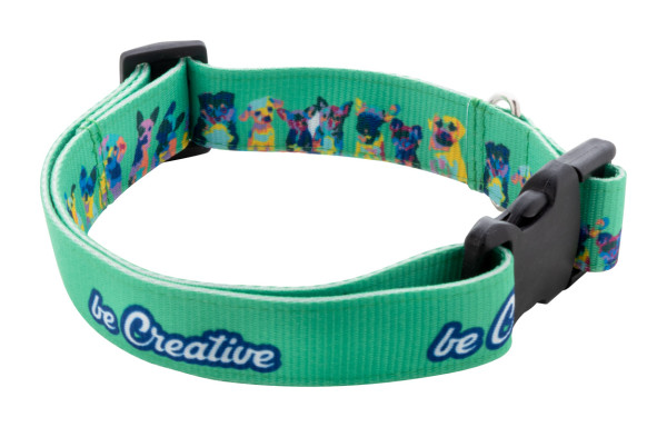 Ziggy custom dog collar