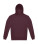 ID.223 Hoodie - 240-42-448-f-2025-01 - variant