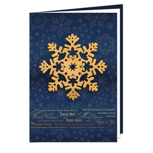 New Year's greeting PF11