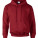 G12500 Sweatshirt for men DryBlend® Adult Hooded Sweatshirt - G12500-Cardinal-Red - variant Ls 1000064777