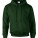 G12500 Sweatshirt for men DryBlend® Adult Hooded Sweatshirt - G12500-Forest-Green - variant Ls 1000064787