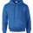 G12500 Sweatshirt for men DryBlend® Adult Hooded Sweatshirt - G12500-Royal - variant Ls 1000064812