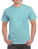 GH000 Hammer Adult T-Shirt - GH000_Chalky-Mint - variant Ls 1000250783