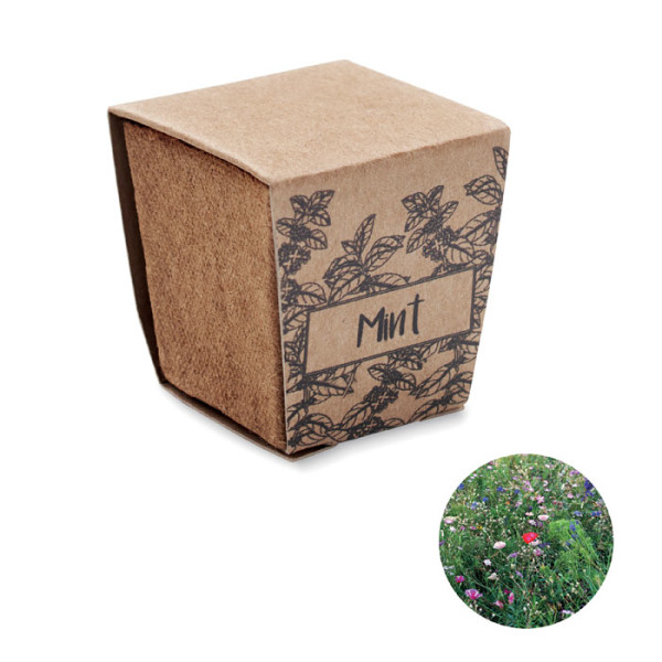 Biodegradable peat pot MINT KIT