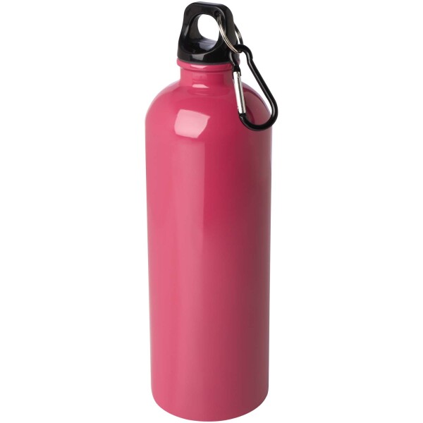 Oregon 750 ml RCS certified single wall stainless steel water bottle with carabiner