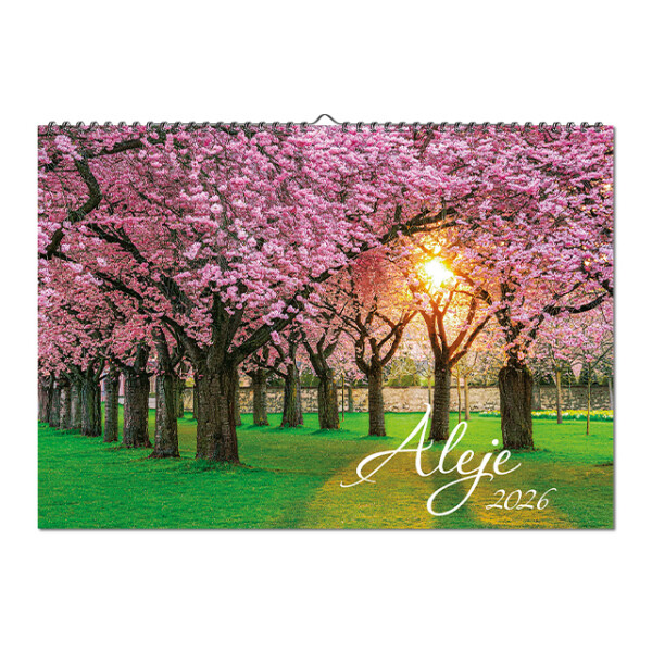 Wall calendar Alleys 2026