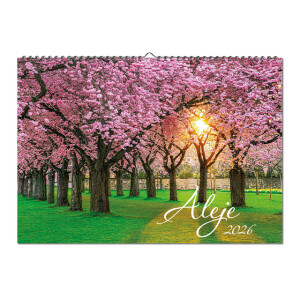 Wall calendar Alleys 2026 - Reklamnepredmety