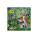 Wall calendar The Forest and Its Stories 2026 - N27-26_OB - variant Sp N27-26