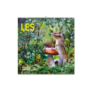 Wall calendar The Forest and Its Stories 2026 - Reklamnepredmety