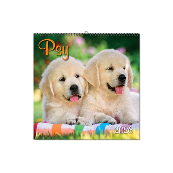Wall calendar Dogs 2026