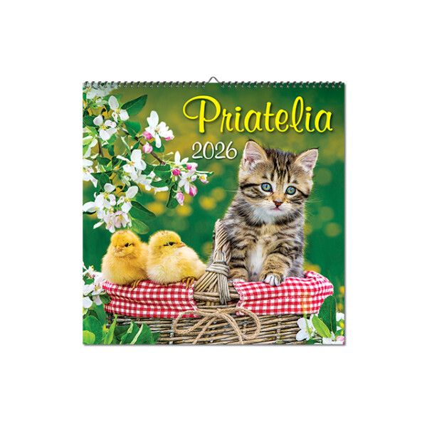 Wall calendar Friends 2026