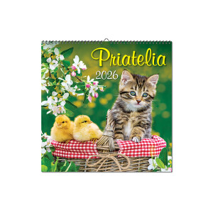 Wall calendar Friends 2026 - Reklamnepredmety