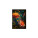 Practical daily diary HUMMINGBIRD 2026 - D09-26 - variant Sp D09-26