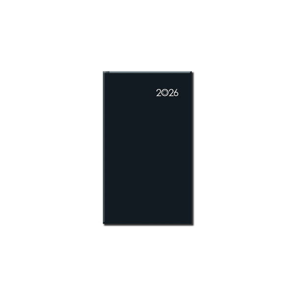 Mini diary A6 FALCON black 2026