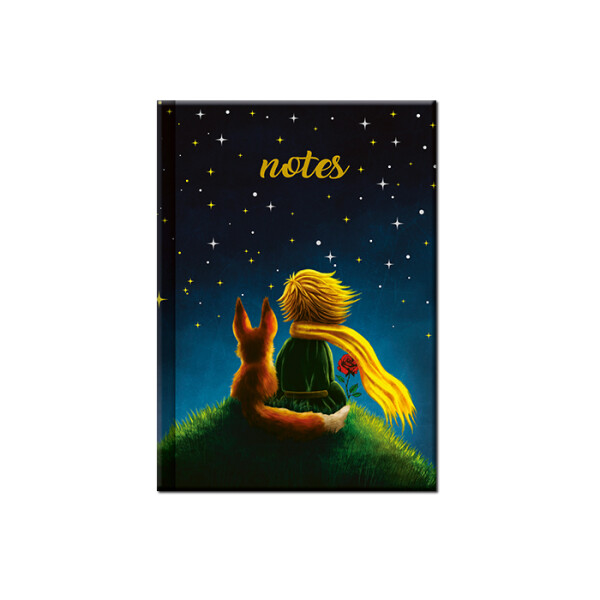 NOTES MINI - THE LITTLE PRINCE