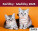 Kittens Calendar - SM12-26_002 - variant He SM12-26