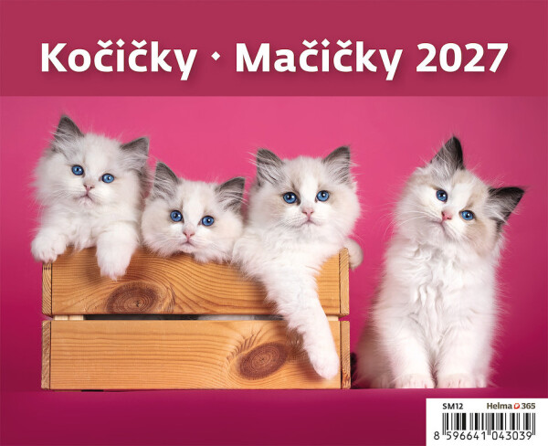 Kittens Calendar