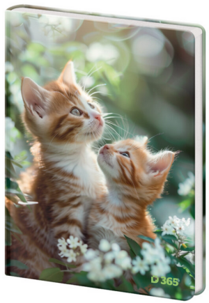 Memorial A5 13x18cm clear Tabby - Reklamnepredmety