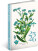 NOTIQUE 18-month diary Petito – Herbarium 2025/2026, 11 x 17 cm - pgd-35534-v_tit - variant Pg PGD-35534-V