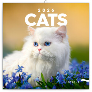 NOTIQUE Notepad Cats 2026, 30 x 30 cm - Reklamnepredmety